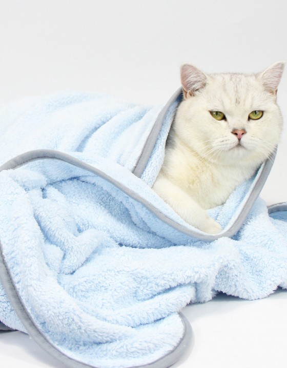 |客製|寵物毛毯浴巾